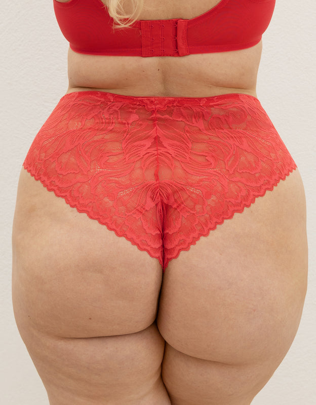 High Brazilian Cariba hibiscus